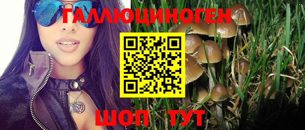 Зеленокумск  Галлюциногенные грибы MAGIC MUSHROOMS  Вход с VPN 